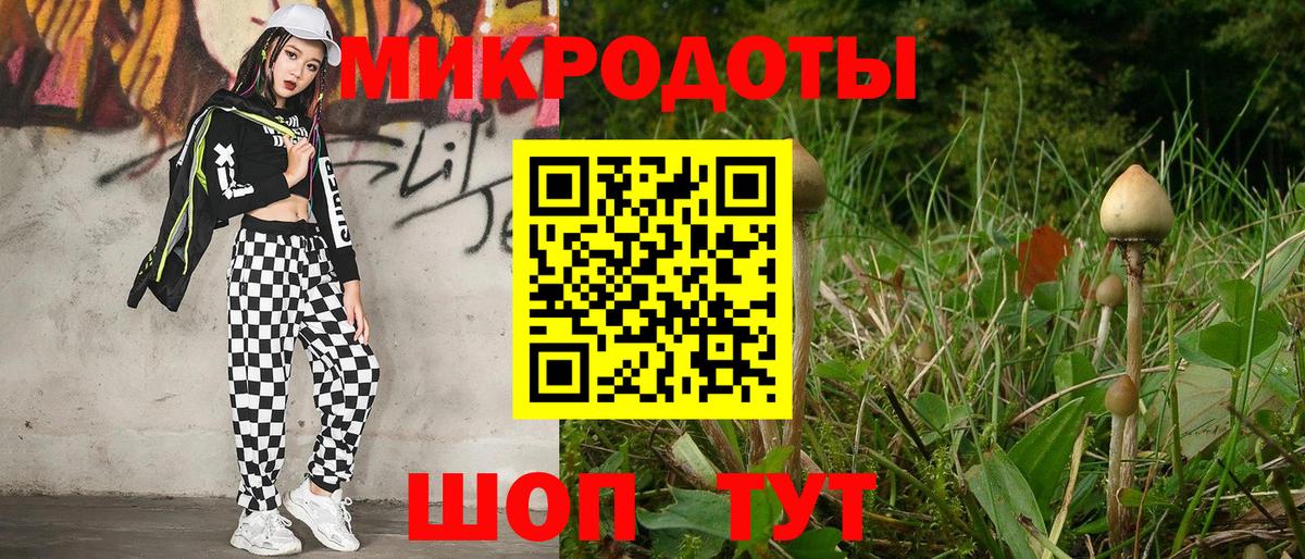 Приморско-Ахтарск  Псилоцибиновые грибы Psilocybine cubensis  Вход с VPN 