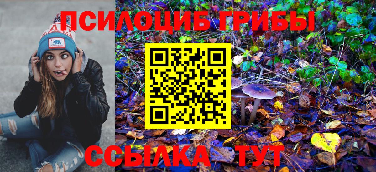 Псилоцибиновые грибы мицелий Приморско-Ахтарск